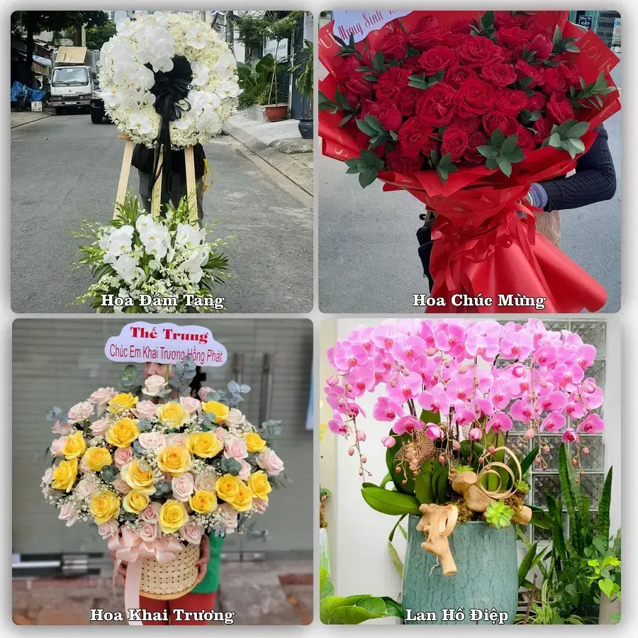 Shop hoa tươi Phường Hà Lầm, Quảng Ninh – đặt hoa theo dịp, giao tận nơi