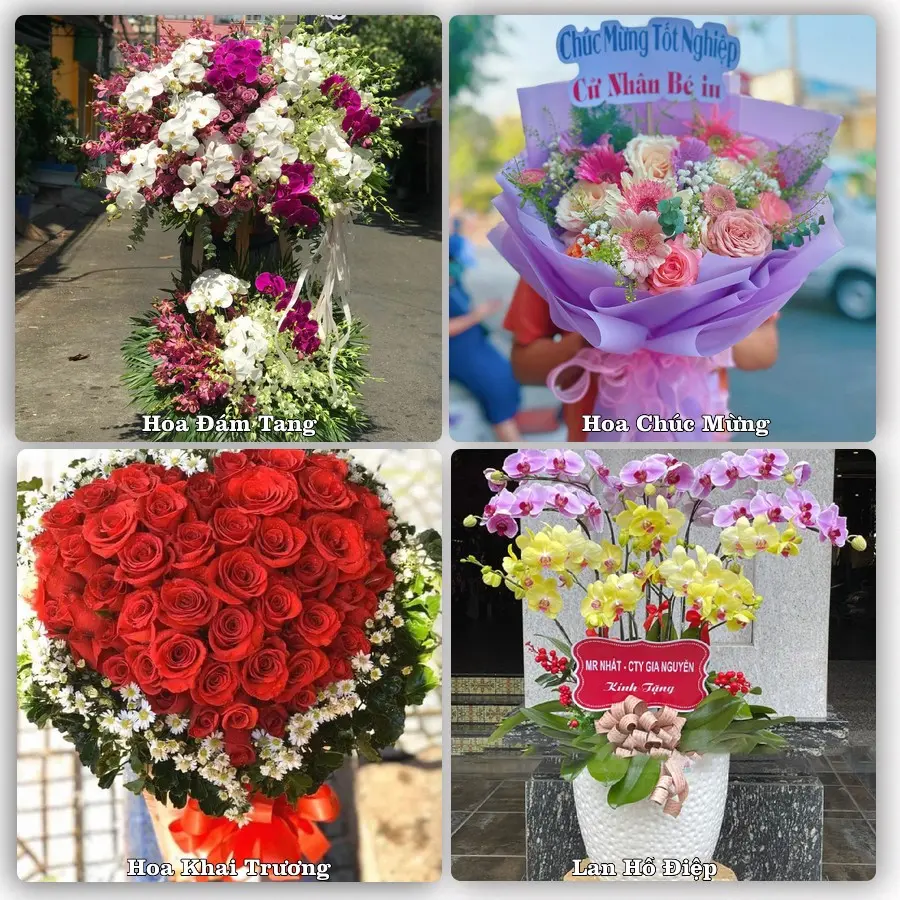 Tư vấn chọn hoa theo người nhận và dịp tặng tại Phường Hà Lầm - Tỉnh Quảng Ninh