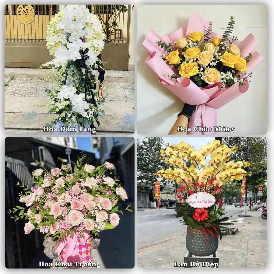 Tư vấn chọn hoa theo người nhận và dịp tặng tại Xã Hoằng Lộc - Tỉnh Thanh Hóa