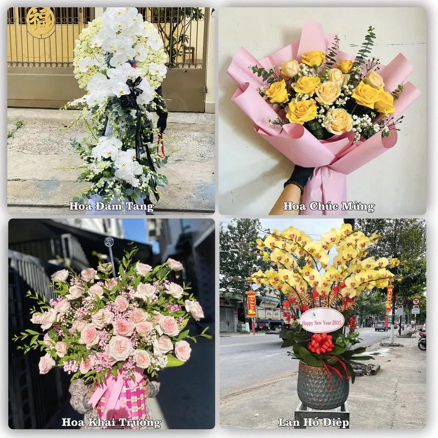 Tư vấn chọn hoa theo người nhận và dịp tặng tại Xã Hoằng Lộc - Tỉnh Thanh Hóa