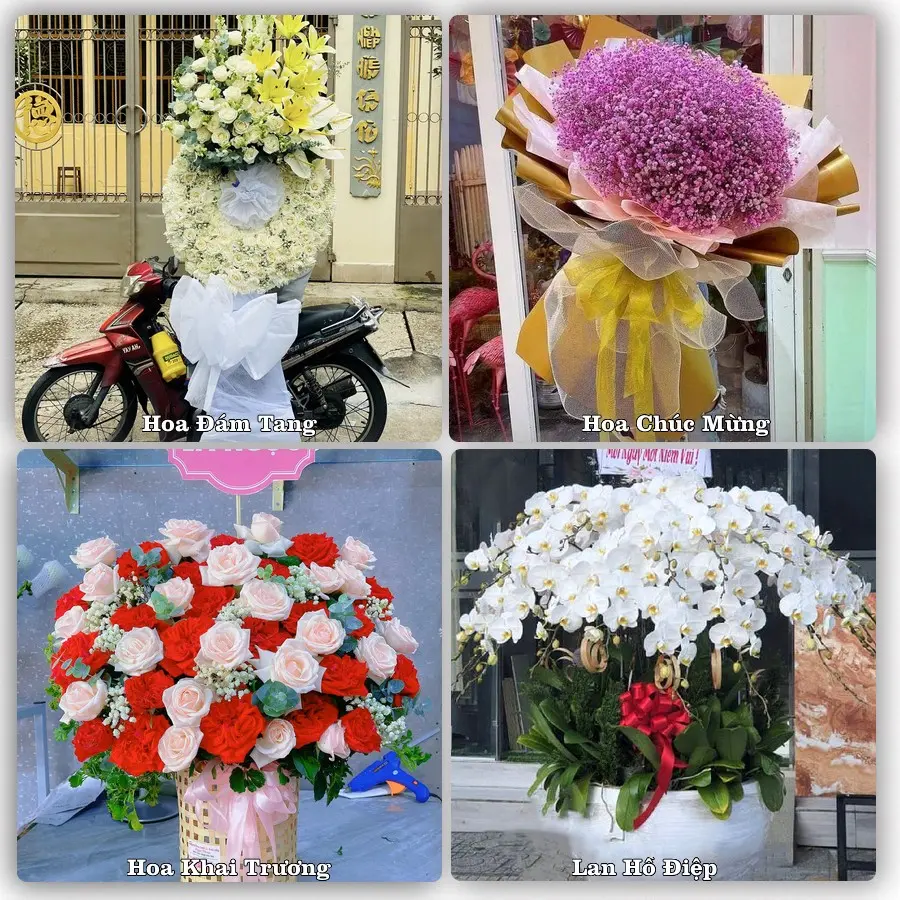 Mẫu hoa phục vụ nhu cầu đặt hoa tại Phường Hồng Gai - Tỉnh Quảng Ninh