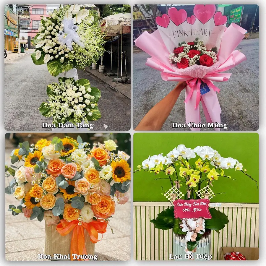Tư vấn chọn hoa theo người nhận và dịp tặng tại Phường Hồng Gai - Tỉnh Quảng Ninh