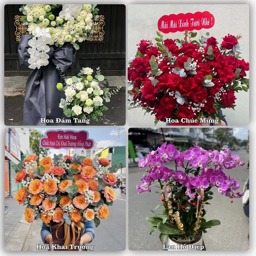 Dịch vụ đặt hoa và giao tận nơi tại Phường Long Mỹ - Thành phố Cần Thơ