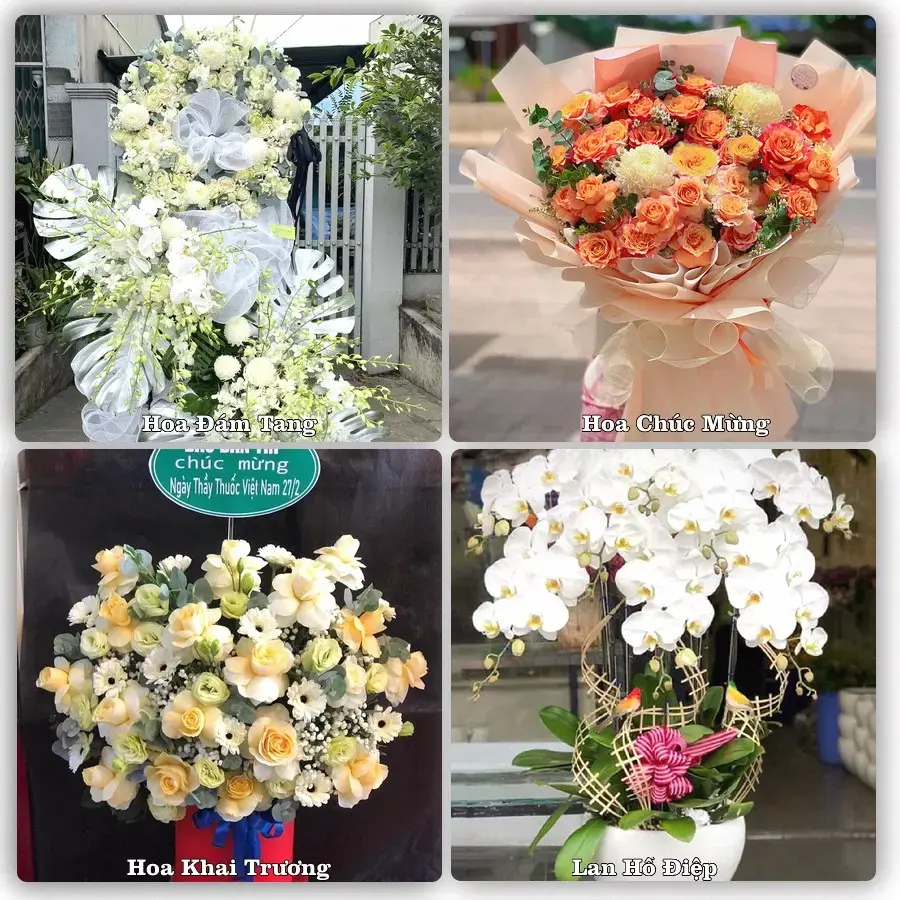 Đặt hoa tươi tại Phường Long Mỹ, Cần Thơ – chọn mẫu theo ngân sách