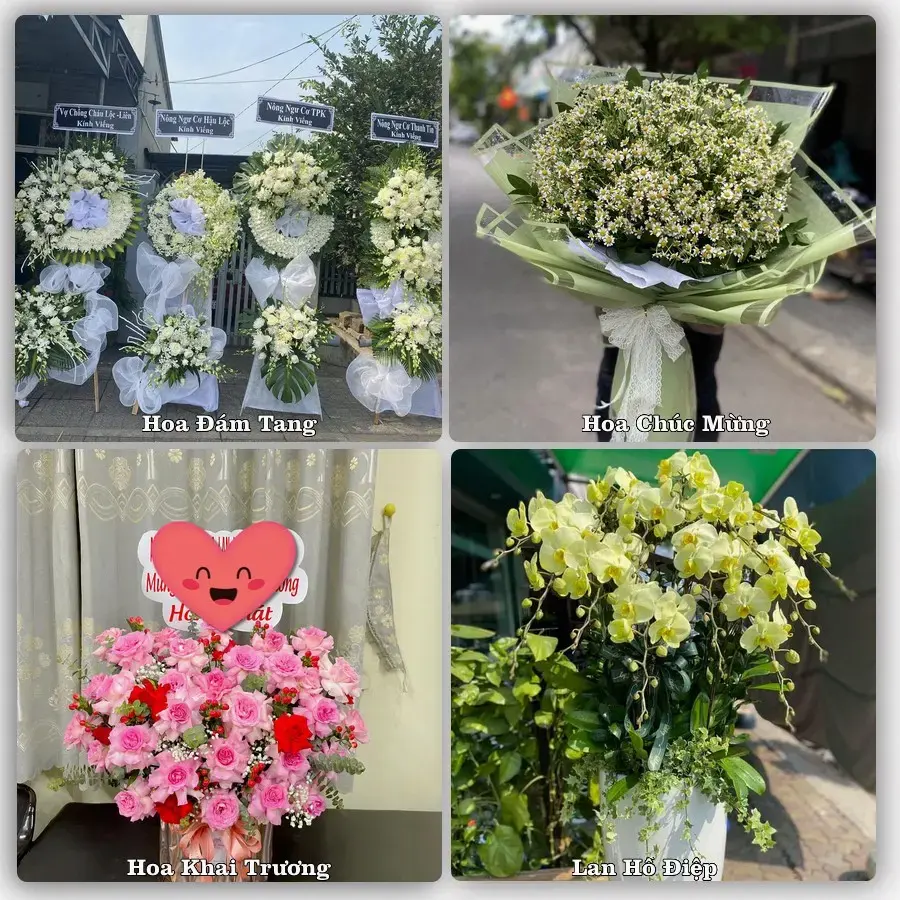 Tư vấn chọn hoa theo người nhận và dịp tặng tại Xã Phụng Công - Tỉnh Hưng Yên