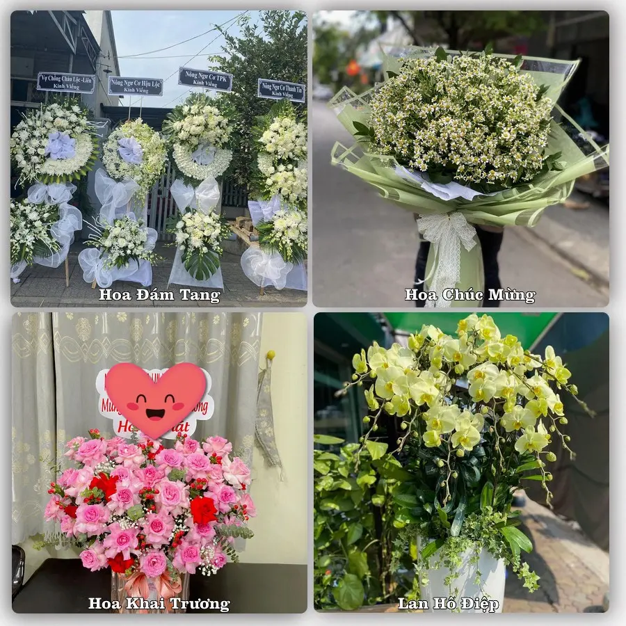 Tư vấn chọn hoa theo người nhận và dịp tặng tại Xã Phụng Công - Tỉnh Hưng Yên