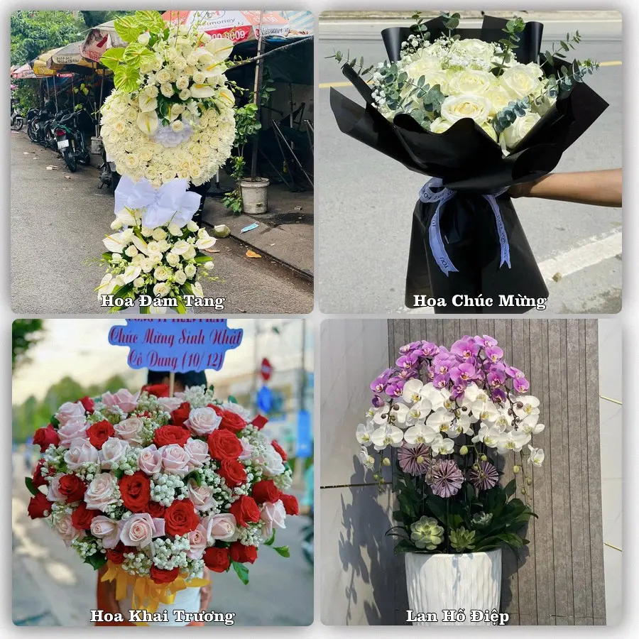 Dịch vụ đặt hoa và giao tận nơi tại Phường Sơn Qui - Tỉnh Đồng Tháp