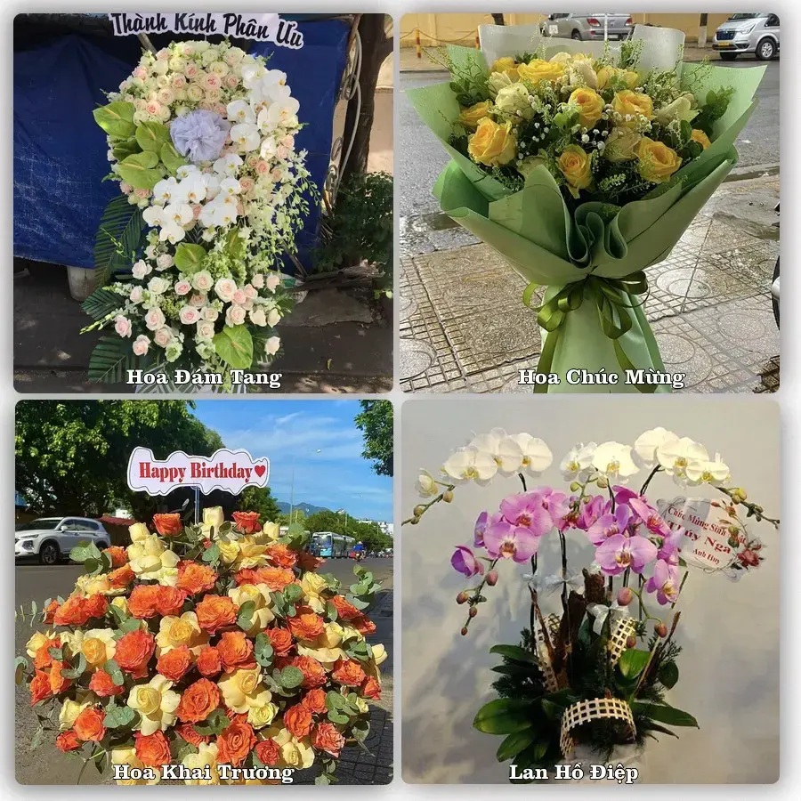 Đặt hoa tươi tại Phường Sơn Qui, Đồng Tháp – chọn mẫu theo ngân sách