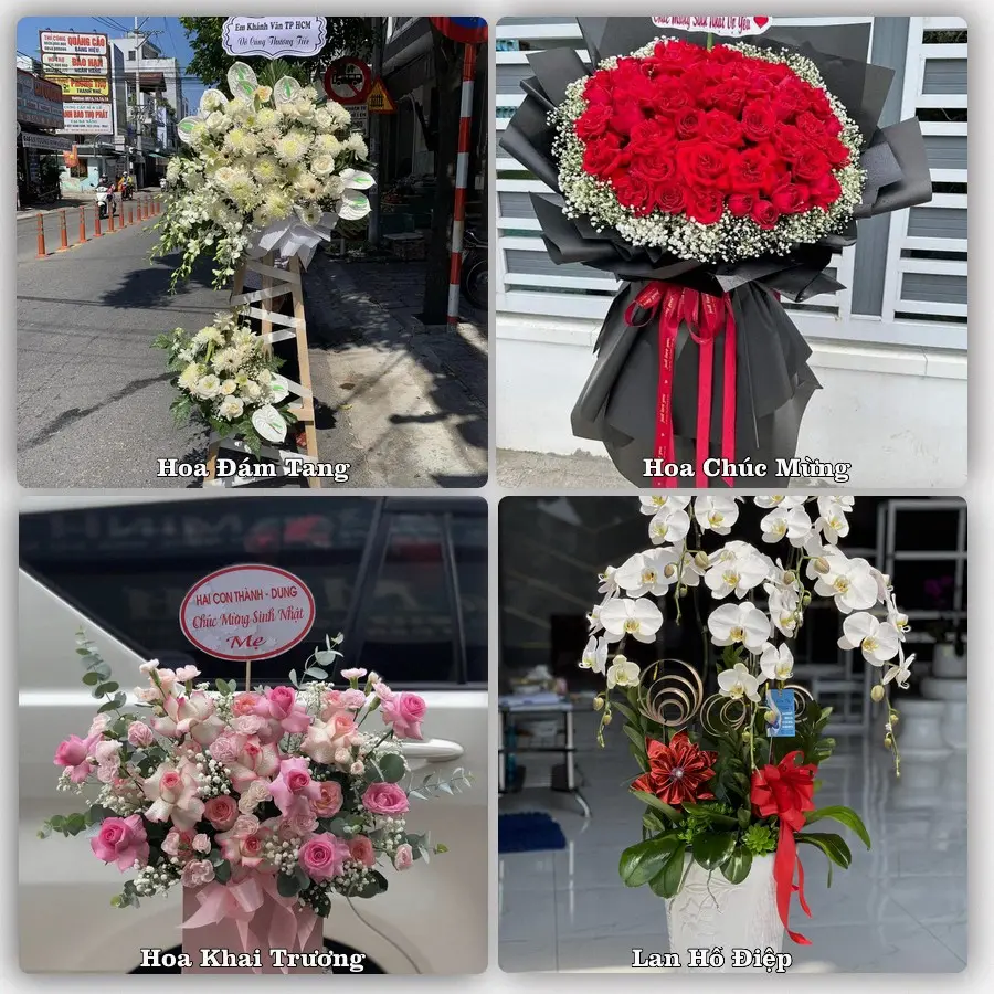 Tư vấn chọn hoa theo người nhận và dịp tặng tại Phường Sơn Qui - Tỉnh Đồng Tháp