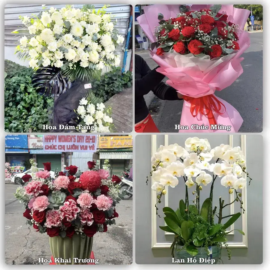 Tư vấn chọn hoa theo người nhận và dịp tặng tại Phường Tân Hưng - Thành phố Hải Phòng