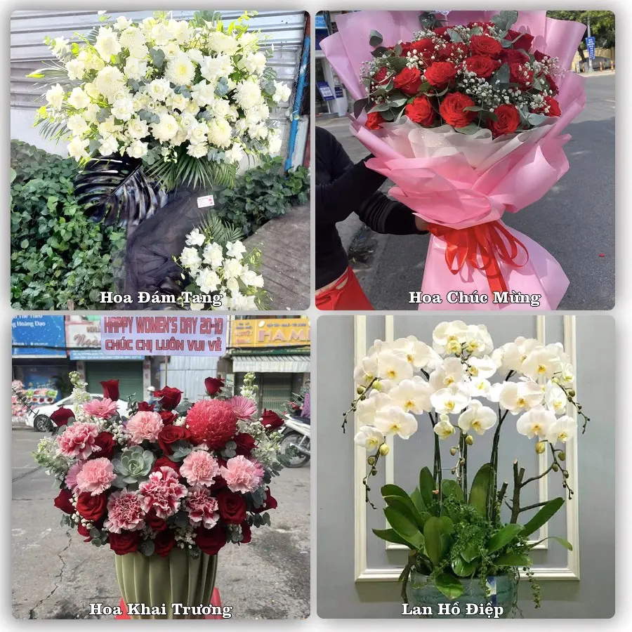 Tư vấn chọn hoa theo người nhận và dịp tặng tại Phường Tân Hưng - Thành phố Hải Phòng
