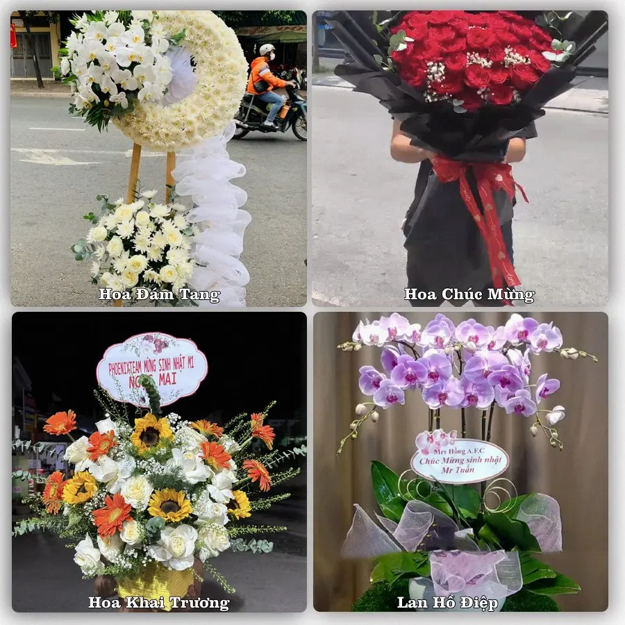Dịch vụ đặt hoa và giao tận nơi tại Xã Vạn Tường - Tỉnh Quảng Ngãi