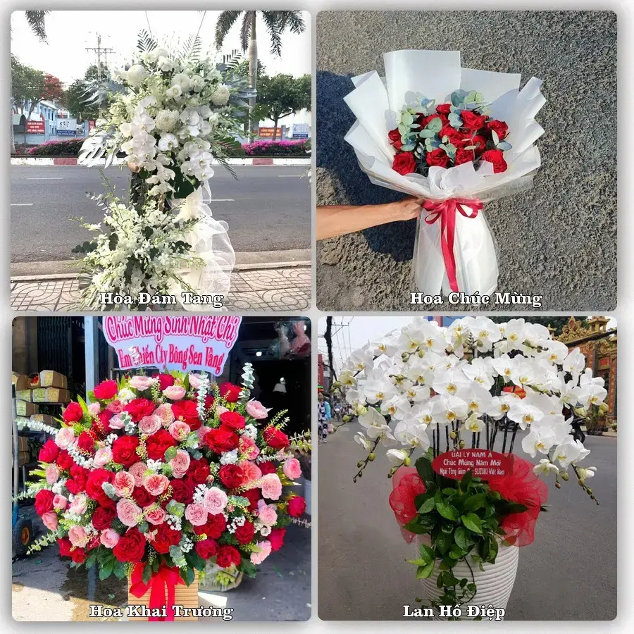 Đặt hoa tươi tại Xã Vạn Tường, Quảng Ngãi – chọn mẫu theo ngân sách