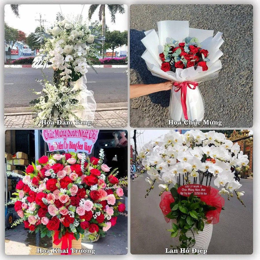 Mẫu hoa phục vụ nhu cầu đặt hoa tại Xã Vạn Tường - Tỉnh Quảng Ngãi