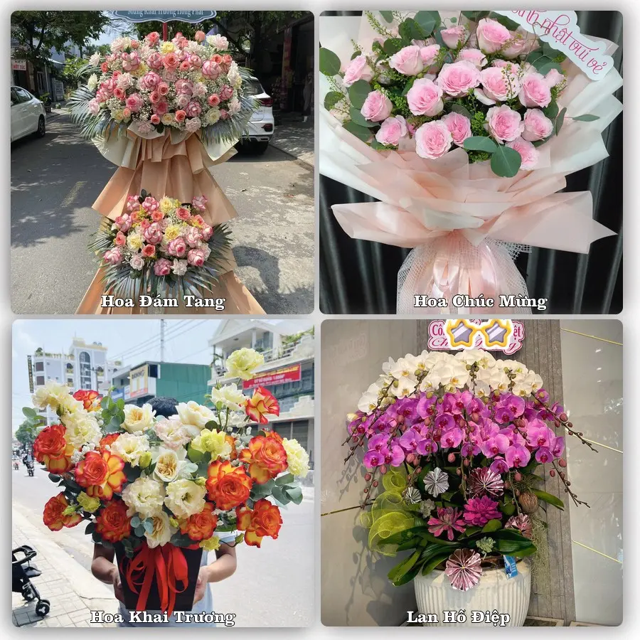 Tư vấn chọn hoa theo người nhận và dịp tặng tại Xã Vạn Tường - Tỉnh Quảng Ngãi