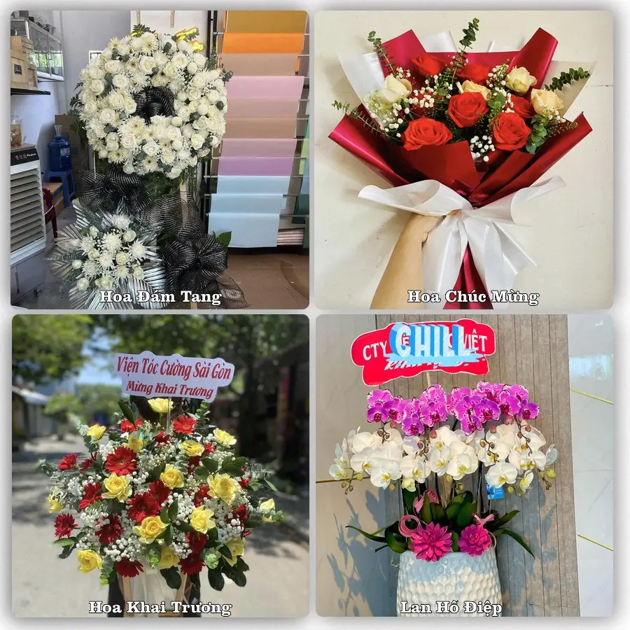 Tư vấn chọn hoa theo người nhận và dịp tặng tại Xã Vĩnh Trụ - Tỉnh Ninh Bình