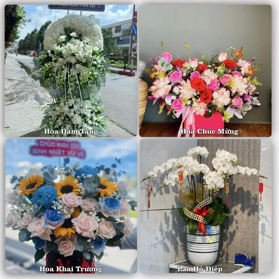Tư vấn chọn hoa theo người nhận và dịp tặng tại Xã Xuân Giang - Tỉnh Ninh Bình
