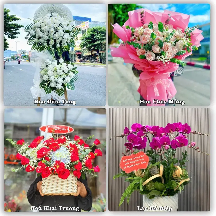 Tiệm hoa tươi Phường Đồng Văn, Ninh Bình – hoa sinh nhật và khai trương