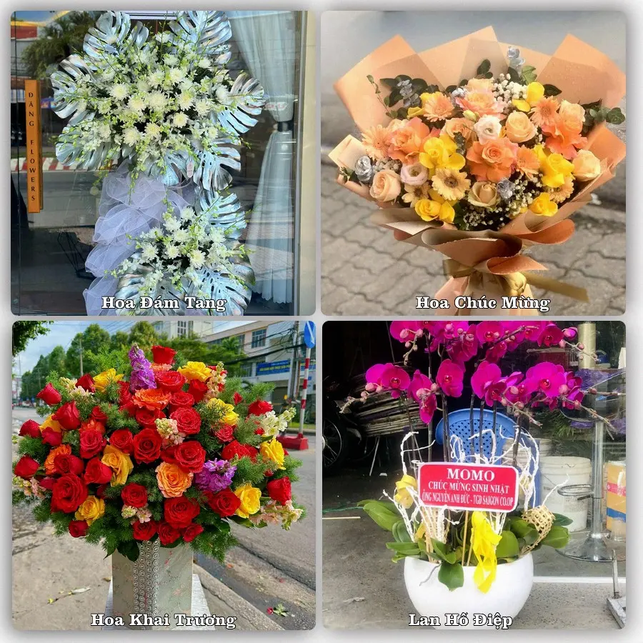 Tư vấn chọn hoa theo người nhận và dịp tặng tại Phường Đồng Văn - Tỉnh Ninh Bình