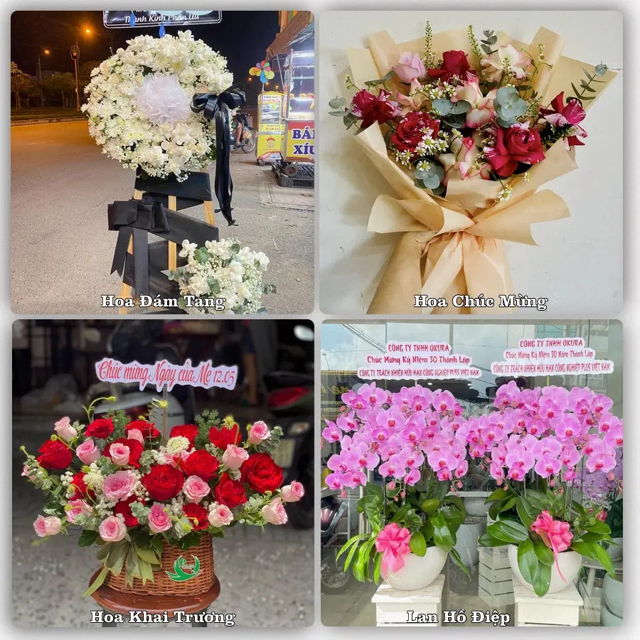 Tư vấn chọn hoa theo người nhận và dịp tặng tại Phường Hòa Thuận - Tỉnh Vĩnh Long