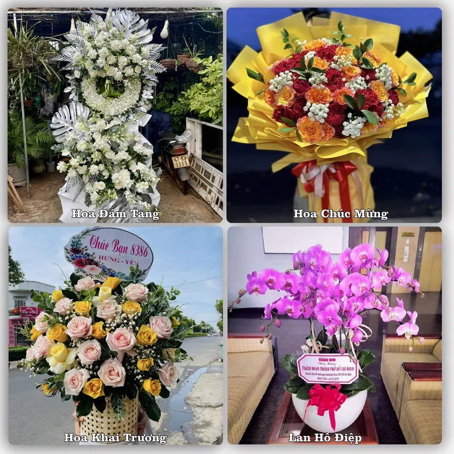 Tư vấn chọn hoa theo người nhận và dịp tặng tại Phường Lê Ích Mộc - Thành phố Hải Phòng