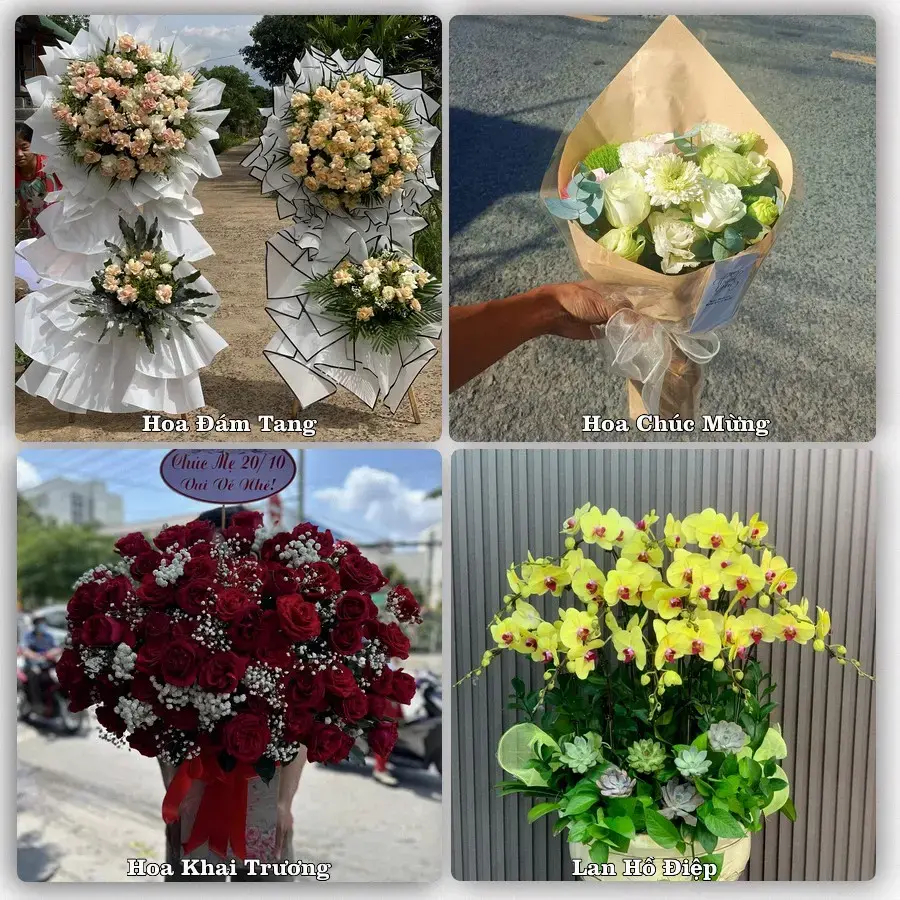 Tiệm hoa tươi Phường Ngọc Sơn, Thanh Hóa – hoa sinh nhật và khai trương