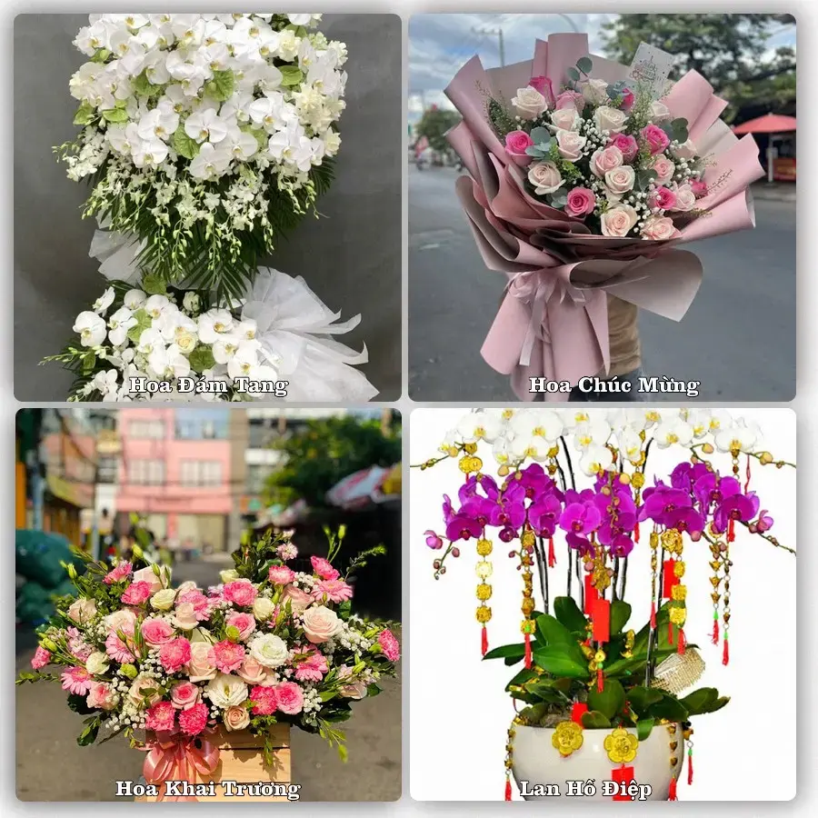Tư vấn chọn hoa theo người nhận và dịp tặng tại Phường Ngọc Sơn - Tỉnh Thanh Hóa