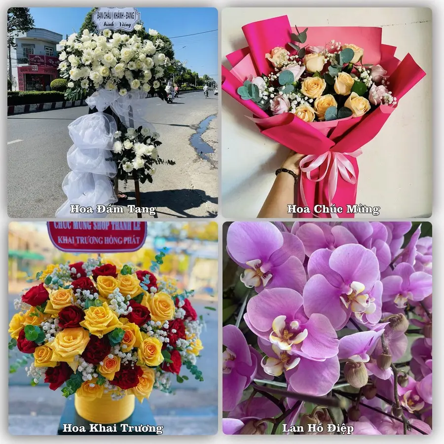 Tư vấn chọn hoa theo người nhận và dịp tặng tại Xã Nhơn Trạch - Tỉnh Đồng Nai