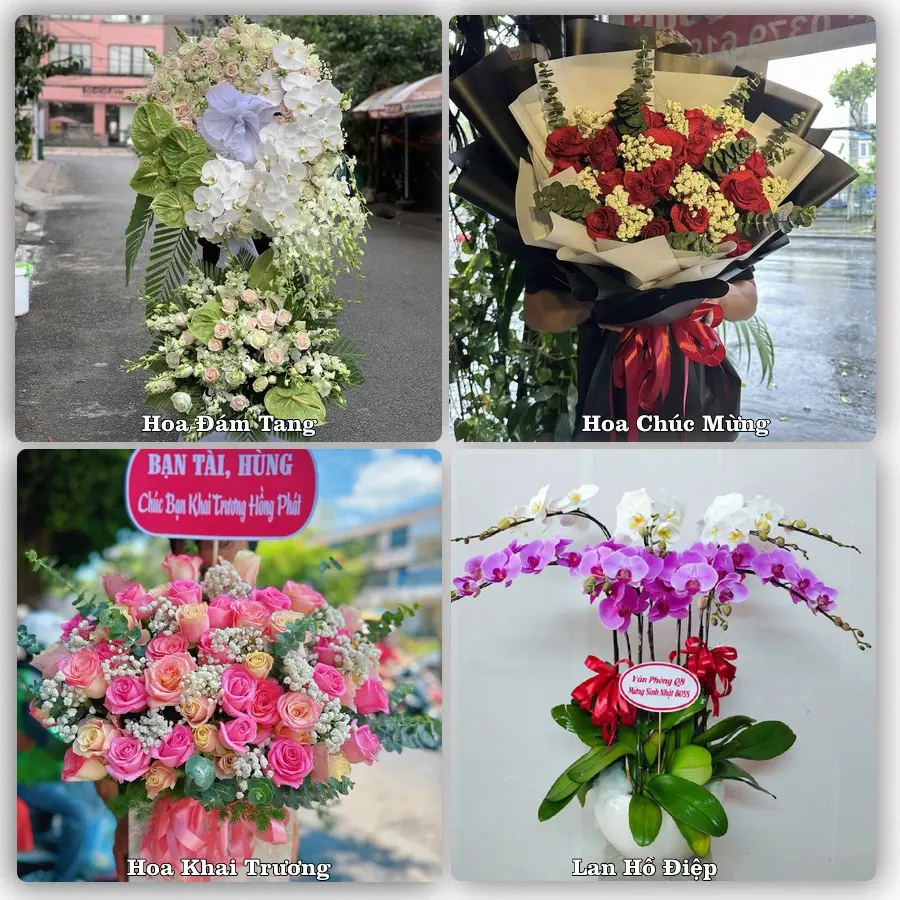 Dịch vụ đặt hoa và giao tận nơi tại Phường Ninh Thạnh - Tỉnh Tây Ninh