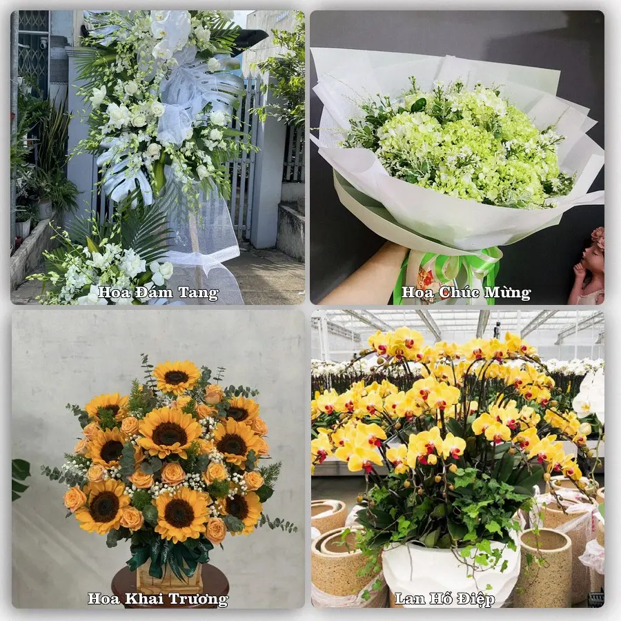 Tư vấn chọn hoa theo người nhận và dịp tặng tại Phường Ninh Thạnh - Tỉnh Tây Ninh
