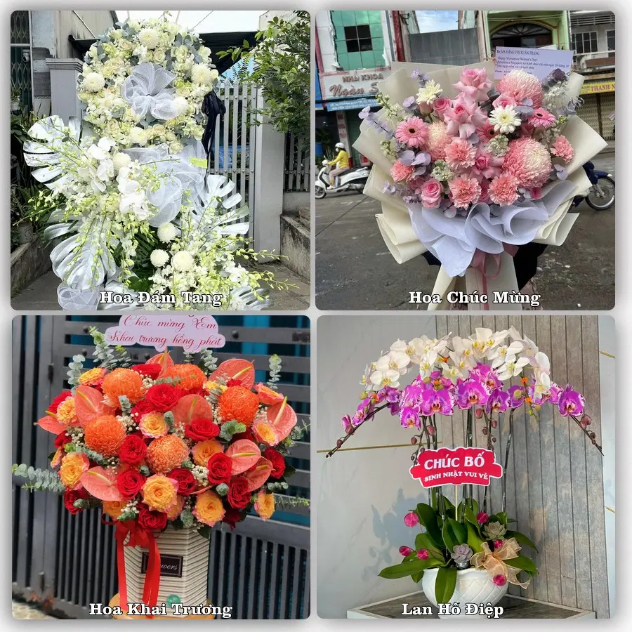 Mẫu hoa phục vụ nhu cầu đặt hoa tại Xã Quảng Châu - Tỉnh Nghệ An