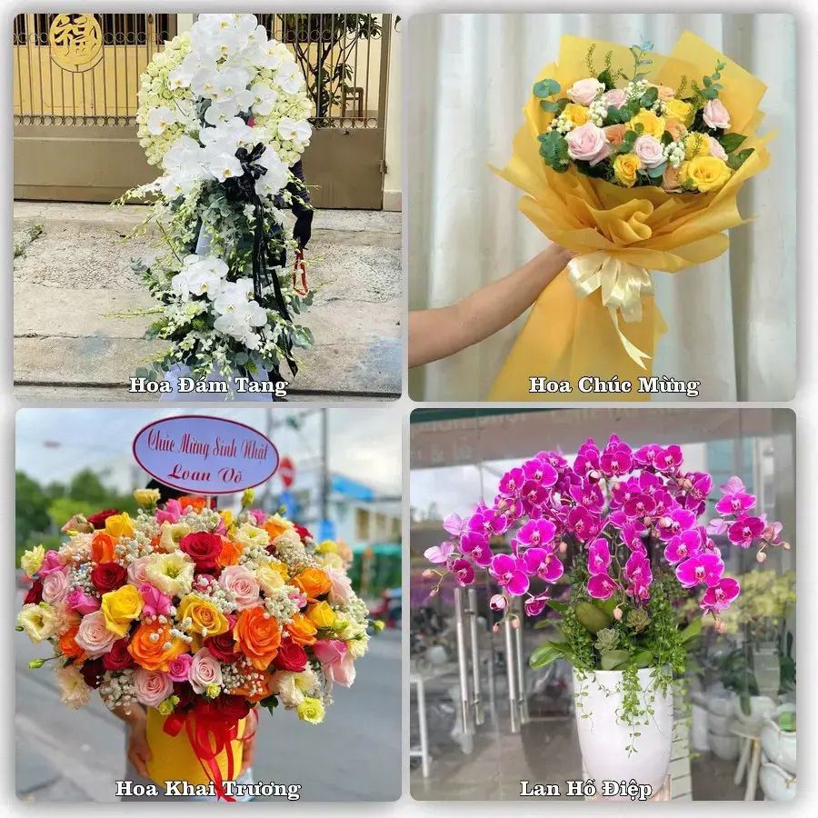 Tiệm hoa tươi Xã Tân Khánh Trung, Đồng Tháp – hoa sinh nhật và khai trương