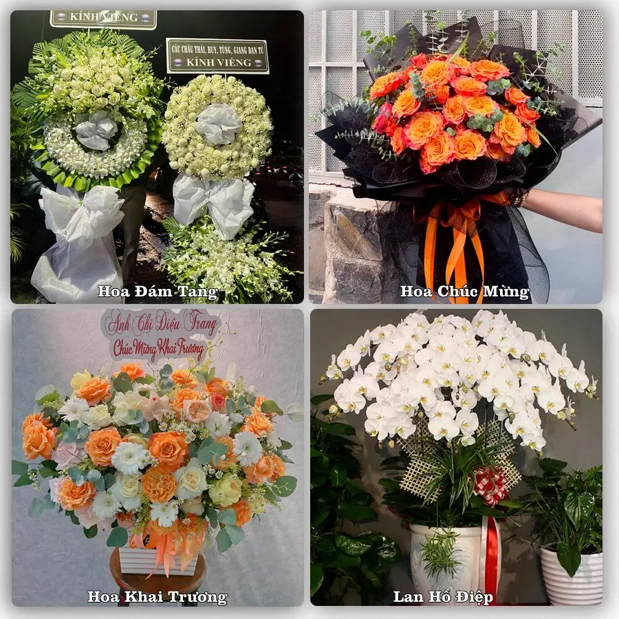 Tư vấn chọn hoa theo người nhận và dịp tặng tại Xã Tân Thành Bình - Tỉnh Vĩnh Long