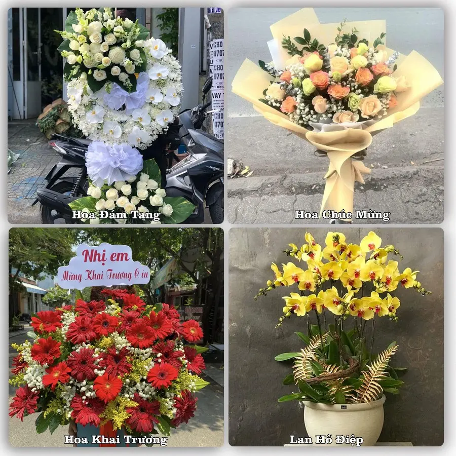 Mẫu hoa phục vụ nhu cầu đặt hoa tại Xã Thọ Xuân - Tỉnh Thanh Hóa