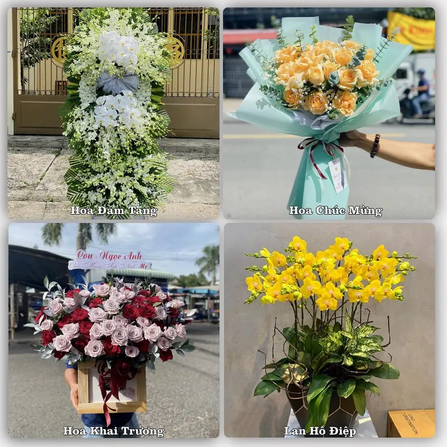 Dịch vụ đặt hoa và giao tận nơi tại Phường Thuận An - Thành phố Huế