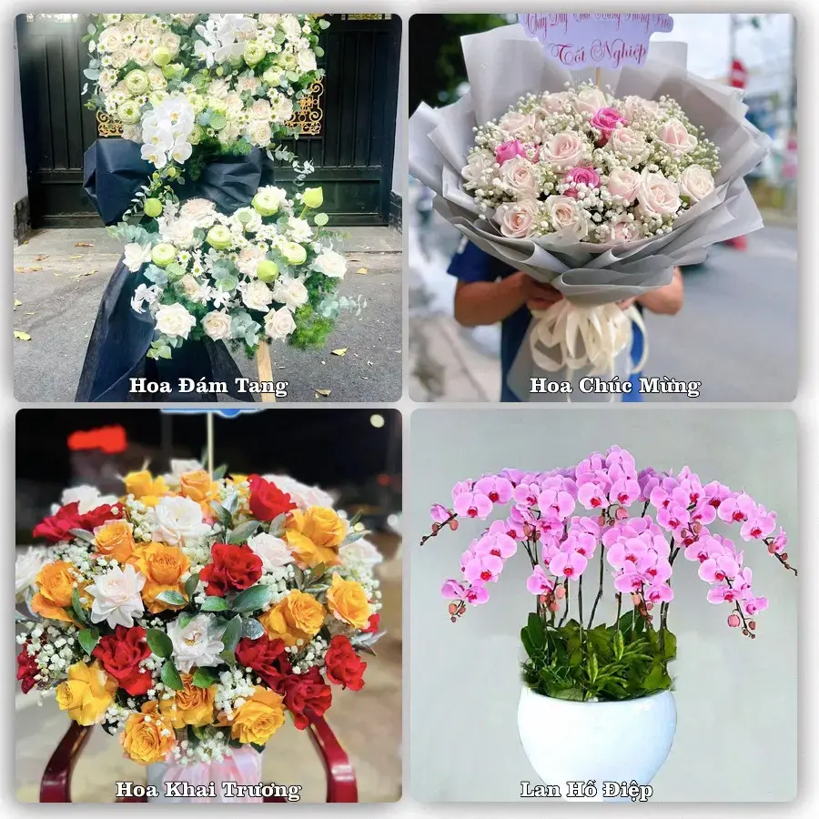 Tiệm hoa tươi Phường Thuận An, Huế – hoa sinh nhật và khai trương