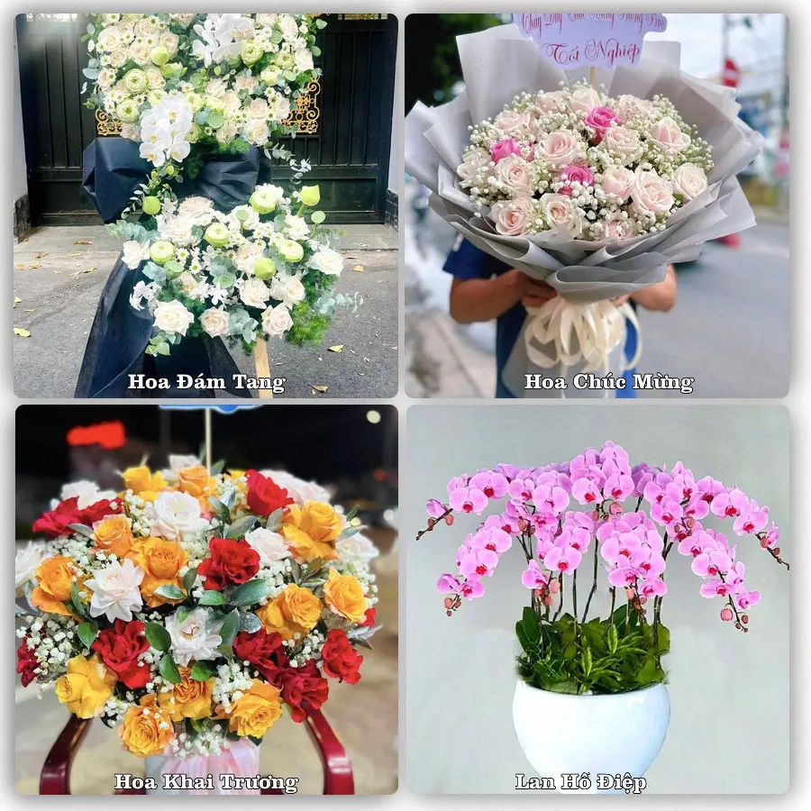 Mẫu hoa phục vụ nhu cầu đặt hoa tại Phường Thuận An - Thành phố Huế