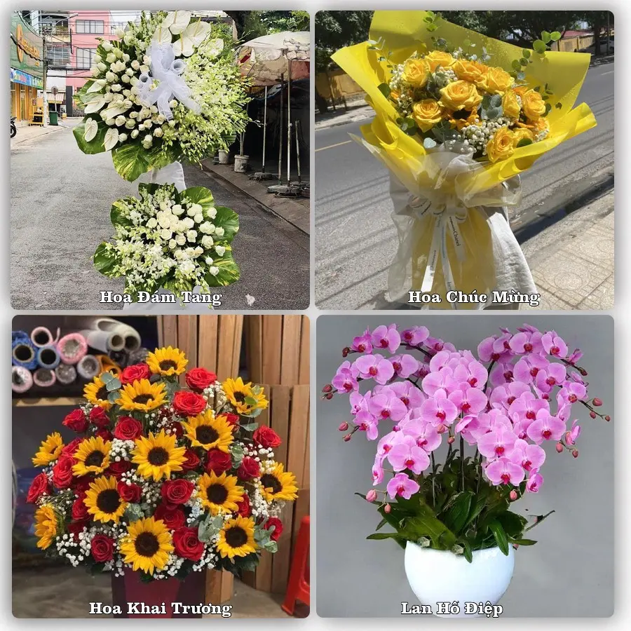 Tư vấn chọn hoa theo người nhận và dịp tặng tại Phường Thuận An - Thành phố Huế