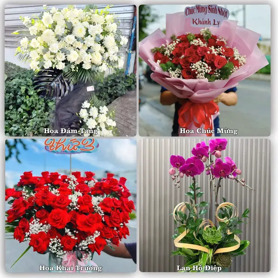 Tiệm hoa tươi Phường Vị Khê, Ninh Bình – hoa sinh nhật và khai trương