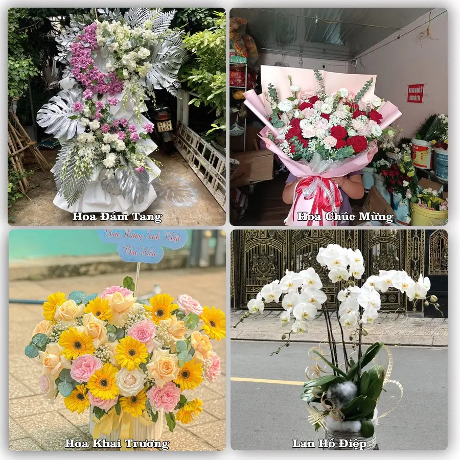 Tư vấn chọn hoa theo người nhận và dịp tặng tại Phường Vị Khê - Tỉnh Ninh Bình