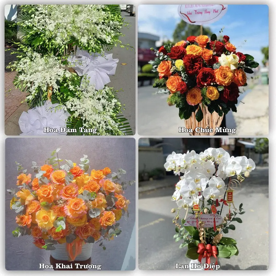 Tư vấn chọn hoa theo người nhận và dịp tặng tại Xã Yết Kiêu - Thành phố Hải Phòng
