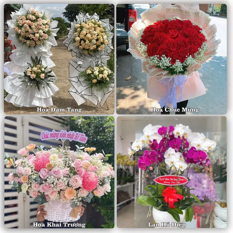 Shop hoa Phường Bình Cơ, Hồ Chí Minh – tư vấn mẫu, giao tận nơi