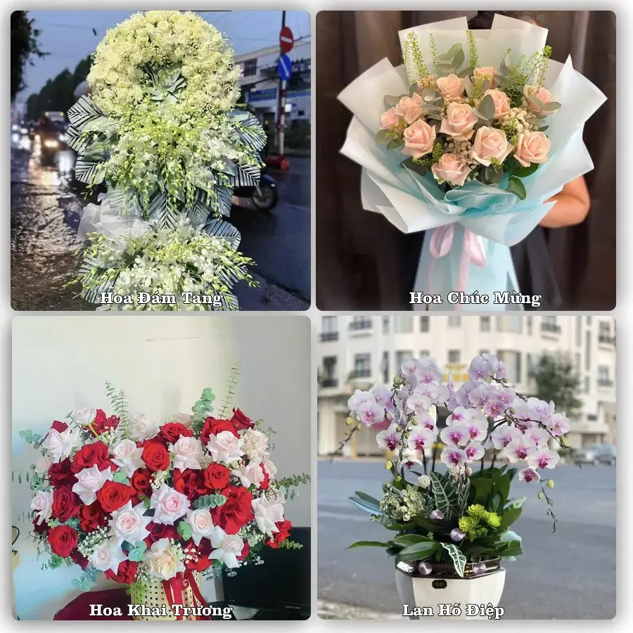 Shop hoa Xã Hồng Châu, Hải Phòng – tư vấn mẫu, giao tận nơi