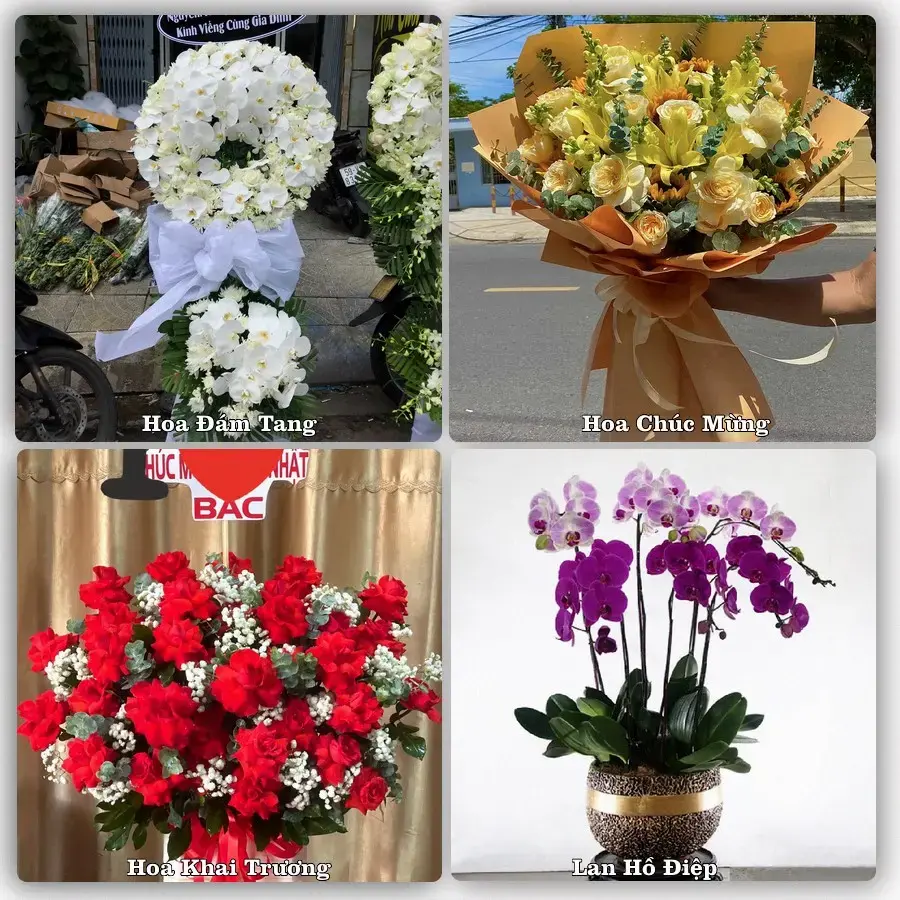 Tư vấn chọn hoa theo người nhận và dịp tặng tại Xã Hồng Châu - Thành phố Hải Phòng