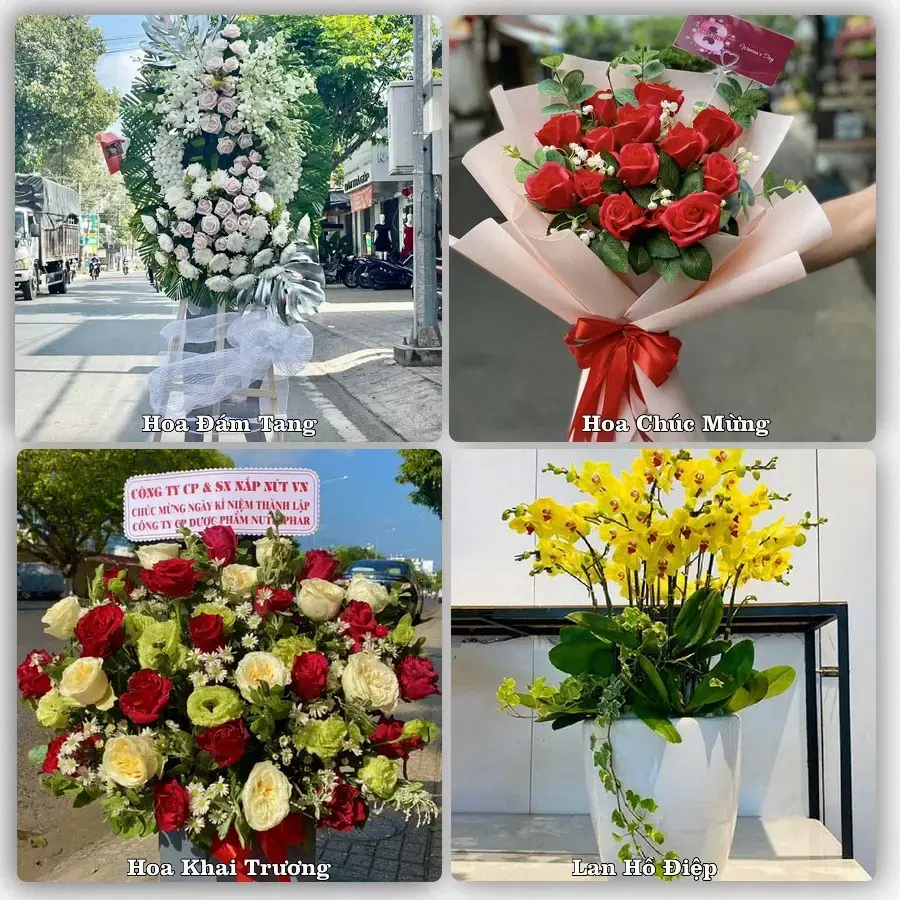 Shop hoa Phường Liêm Tuyền, Ninh Bình – tư vấn mẫu, giao tận nơi