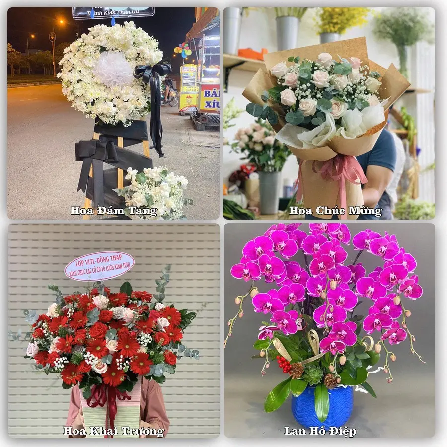Tư vấn chọn hoa theo người nhận và dịp tặng tại Phường Liêm Tuyền - Tỉnh Ninh Bình
