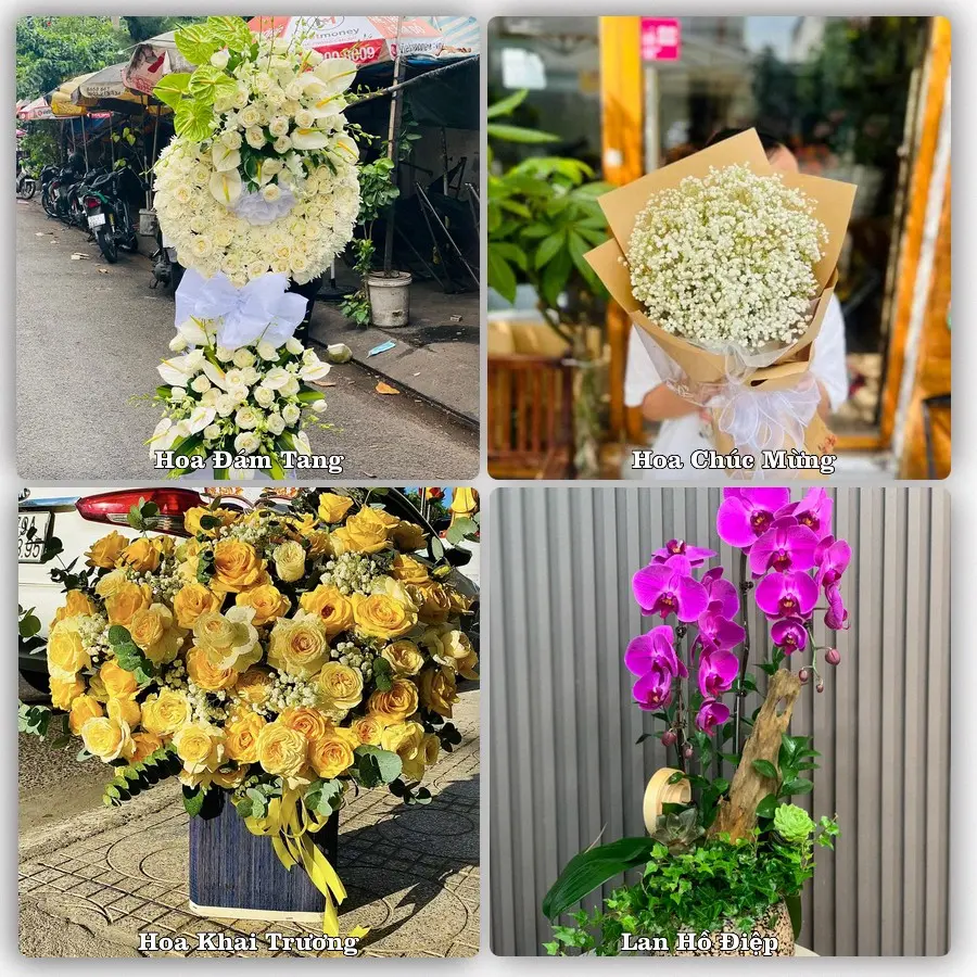 Dịch vụ đặt hoa và giao tận nơi tại Phường Tân An - Tỉnh Tây Ninh