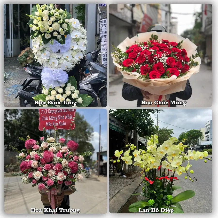 Mẫu hoa phục vụ nhu cầu đặt hoa tại Phường Tân An - Tỉnh Tây Ninh