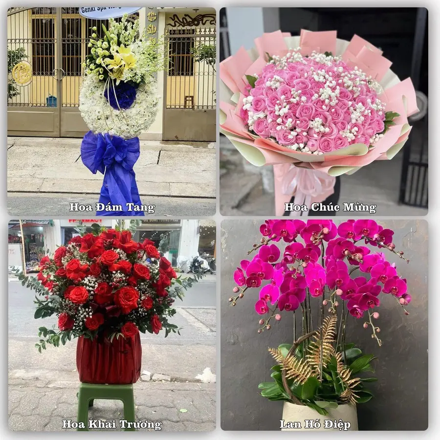 Tư vấn chọn hoa theo người nhận và dịp tặng tại Phường Tân An - Tỉnh Tây Ninh