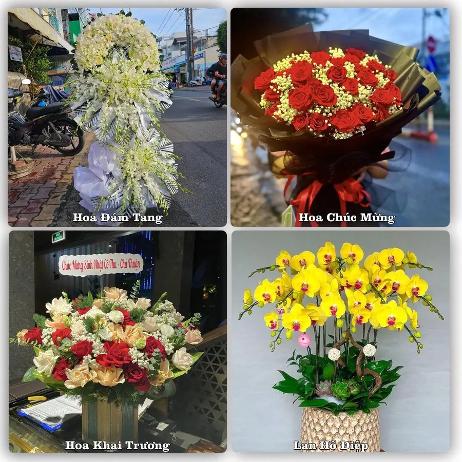 Tư vấn chọn hoa theo người nhận và dịp tặng tại Phường Thanh Miếu - Tỉnh Phú Thọ